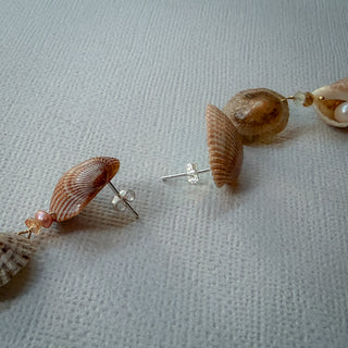 CONCHA DO MAR 0006